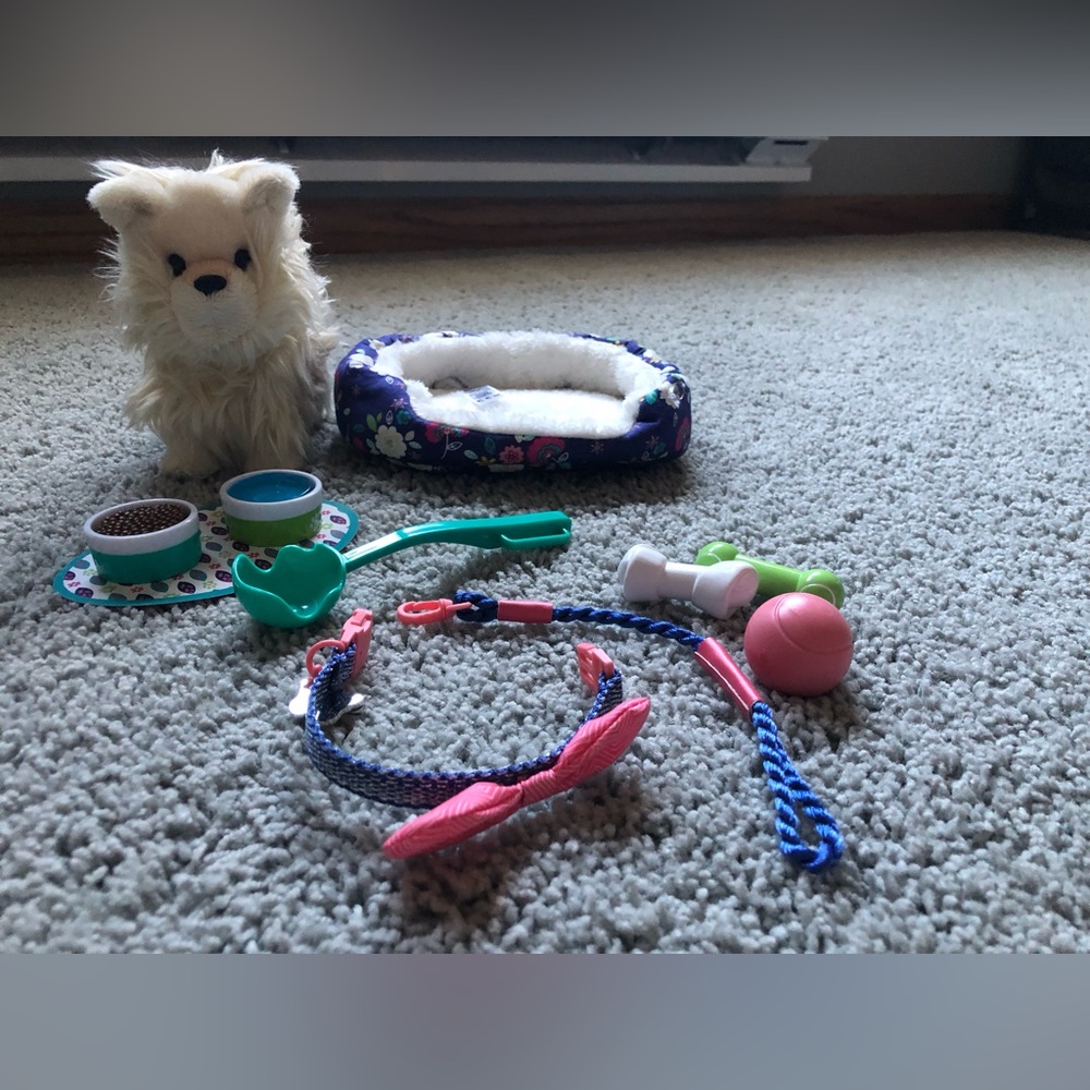Dog kit; bed, leash and collar, food dishes, and toys.